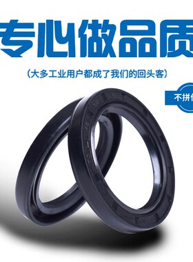 NQK骨架进口油封 60*70/72/74/75/76/77/78*8/10/12/9/7/13TC/TG4