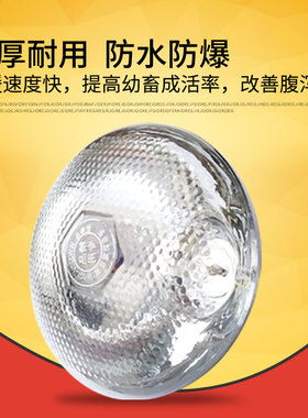 红外线仔猪麻面加热烤灯加厚畜牧保温灯泡养殖场取暖加热灯防水爆