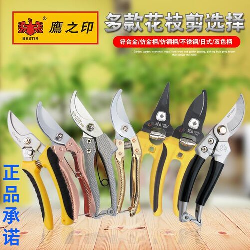 鹰之印 修剪树枝剪刀花枝修剪果枝剪修花剪园林园艺园丁修枝剪刀