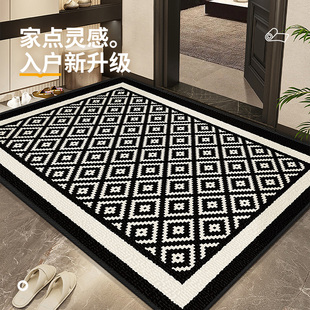 现代轻奢高级感入户门地垫门内玄关地毯进门口防滑脚垫可定制尺寸