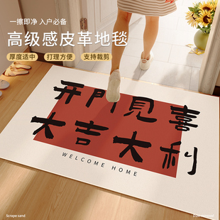 入户门地垫进门口2024新款 皮革红色门外玄关耐脏免洗脚垫高级感