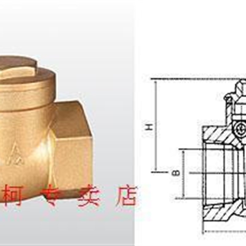 正品埃美柯401黄铜耐高温卧式止回阀单向阀止逆阀DN80 3寸 专卖店