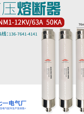 XRNM1-10-12KV/20A50A固定式高压熔断器限流熔断器管80A/63A/100A