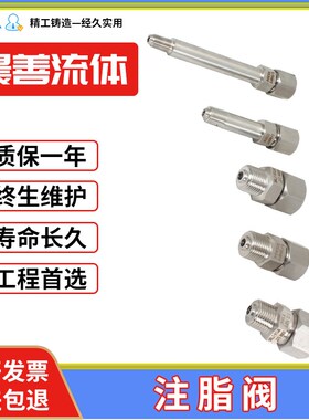 扣式黄油嘴美标API不锈钢注脂阀316L 304 NPT14 牙1寸UNS注油咀