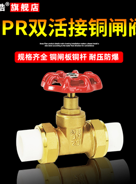 PPR双头活接闸阀活接阀门全铜4分DN15DN20开关截止阀水管配件管件