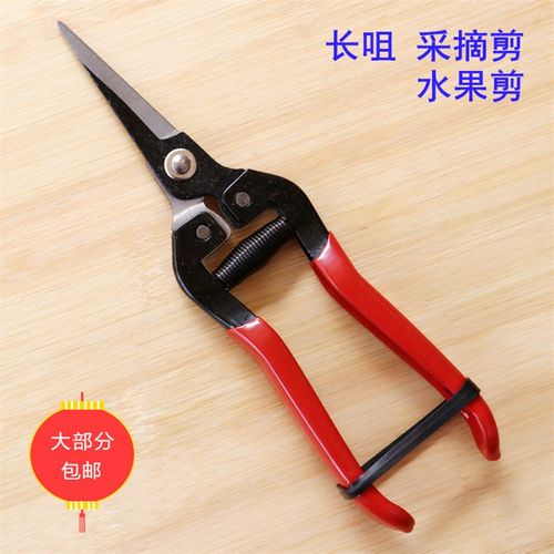迷你直头长小剪刀桔剪采摘桔橘子水果树花木修枝专用园林园艺剪子
