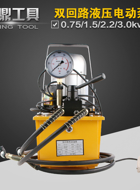 双回路电动液压泵站70mpa 超高压电动液压泵浦 双向普通泵油压机