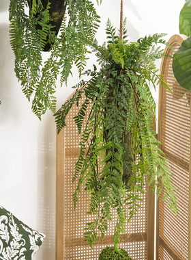 蕨类垂吊植物装饰室内绿植壁挂G花假花藤条橱窗装饰森系
