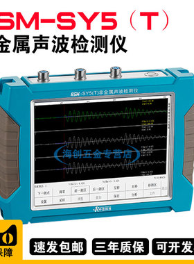 武汉中岩RSM-SY5(T)非金属声波检测仪超声波探伤仪裂缝深度检测