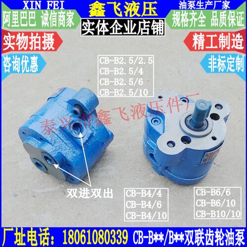 LRB-10 XDR7 TCBW-B4带耳泵CB-B2.5-D CBW-B6锯床专用齿轮油泵R Y