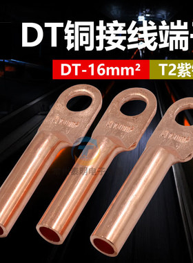 凤凰金具铜接头DT-16MM2平方铜鼻子线耳紫铜接线端子国标堵油式