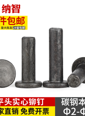 铁平头铆钉本色GB109铁钉实心铆钉 1公斤价 M2M2.5M3M4M5M6M8 5L