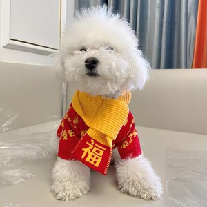 新年恭喜发财宠物毛衣红色喜庆猫咪针织衫狗狗秋冬保暖衣服送围巾