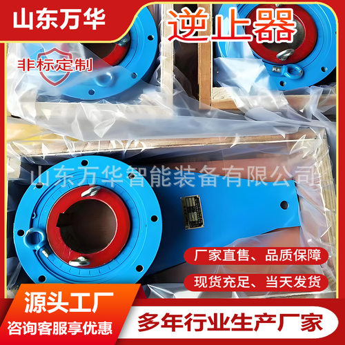 带式输送机减速机用逆止器 使用寿命长   倒转距离小接触式逆止器