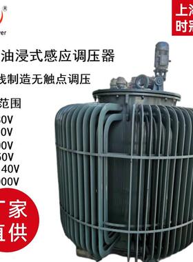 风力发电机用油浸式感应调压器250KVA输入380V输出0-650V750V1140