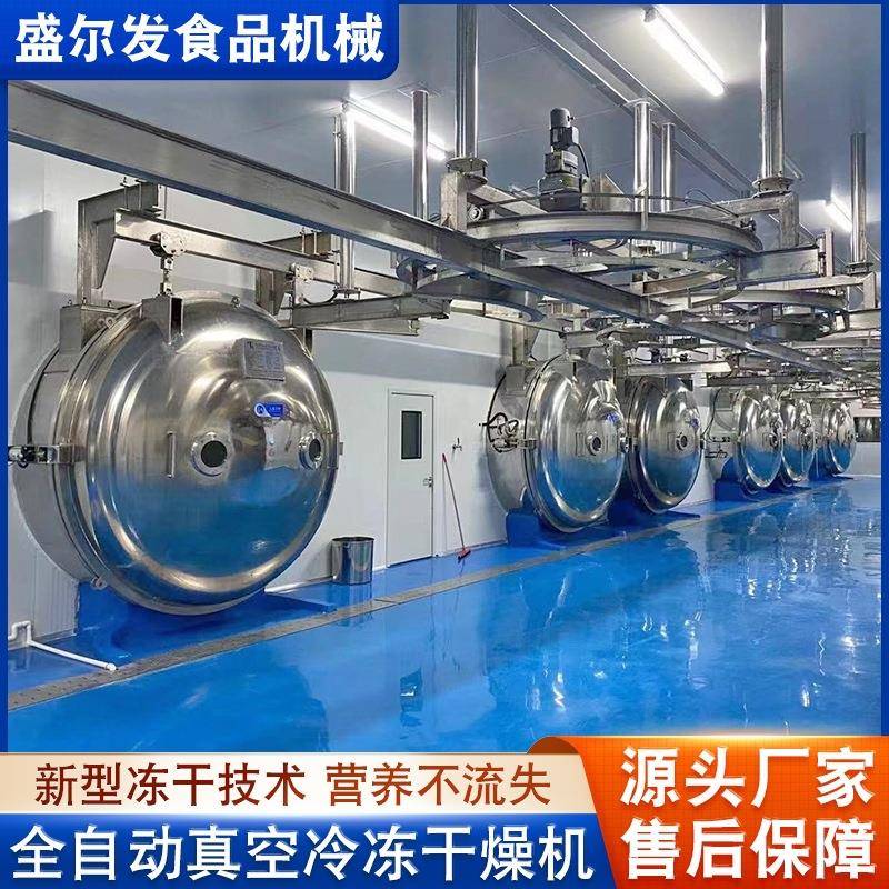 鹌鹑整鸡真空冷冻干燥机冻干酸奶块加工设备低温冷冻干燥保鲜