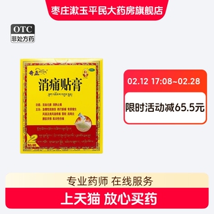 消痛贴膏/奇正1.0g*2贴（润湿剂每袋装2.0ml）