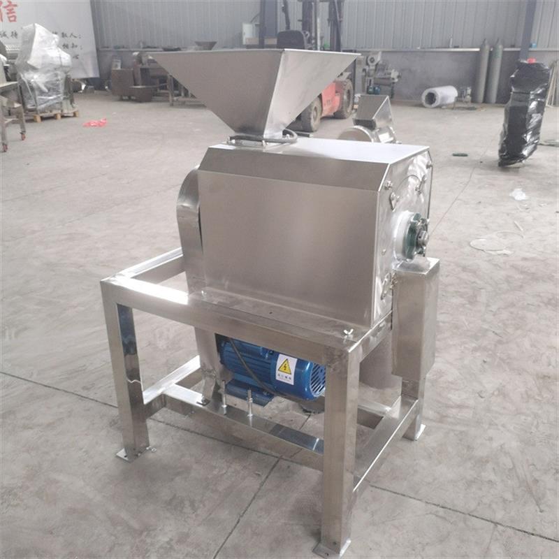 黄皮果杨梅去核打浆机商用红枣芒果去皮去籽打浆不锈钢打浆设备