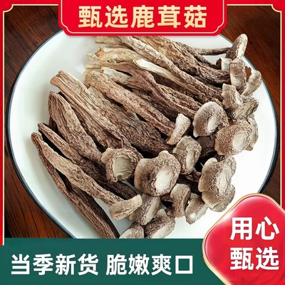 鹿茸菇干货正品官方旗舰店香菇蘑菇新鲜云南脆脆菇T