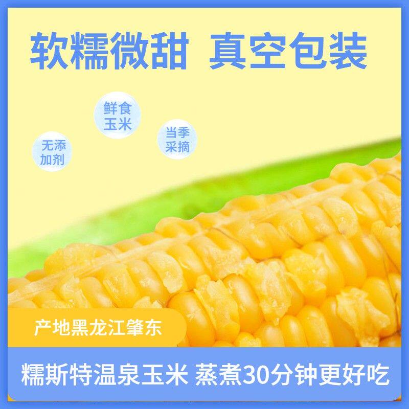 【新人专属】头茬新鲜糯玉米东北黑龙江黏苞米试吃2根