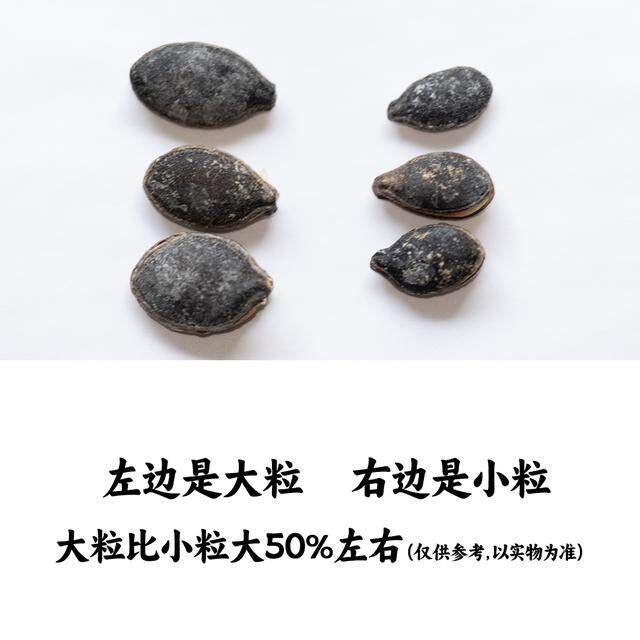 老师傅老传统精炒开口黑南瓜子管良500g250g椒盐原味炒制小粒大粒