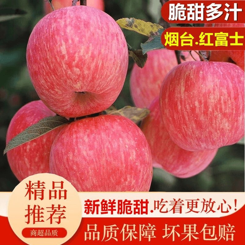 【商超精品果】助农正宗烟台栖霞红富士苹果冰糖心产地直发脆甜多
