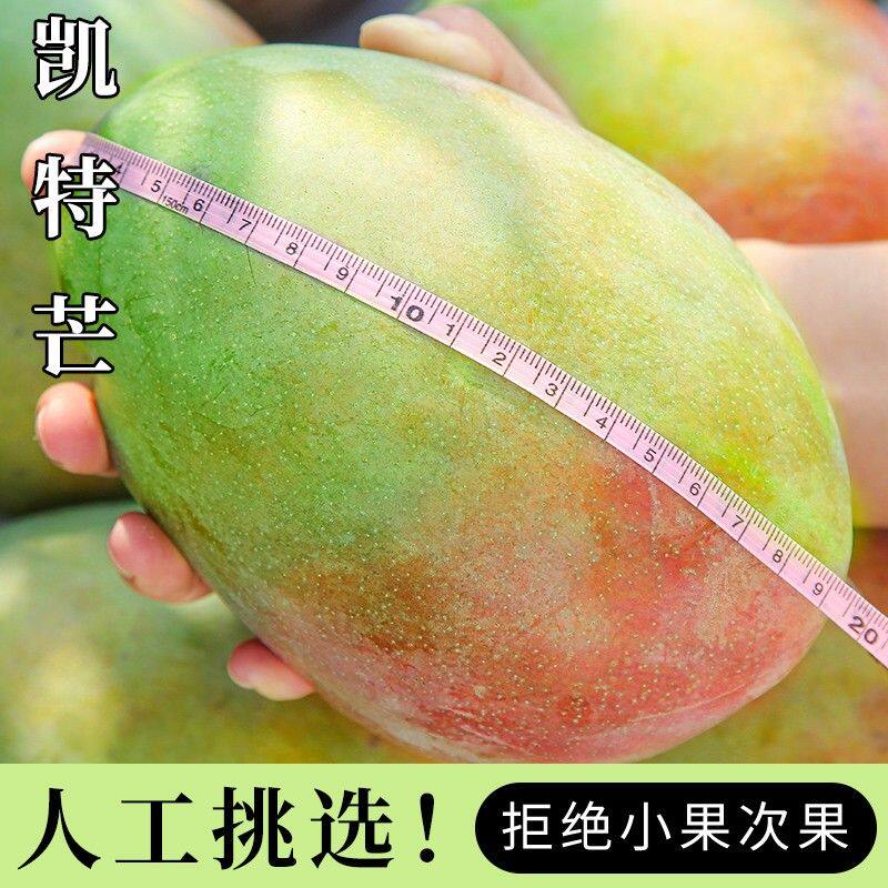 【亏本助农】正宗凯特芒大芒果高山树上水果皮薄肉厚香甜放软吃