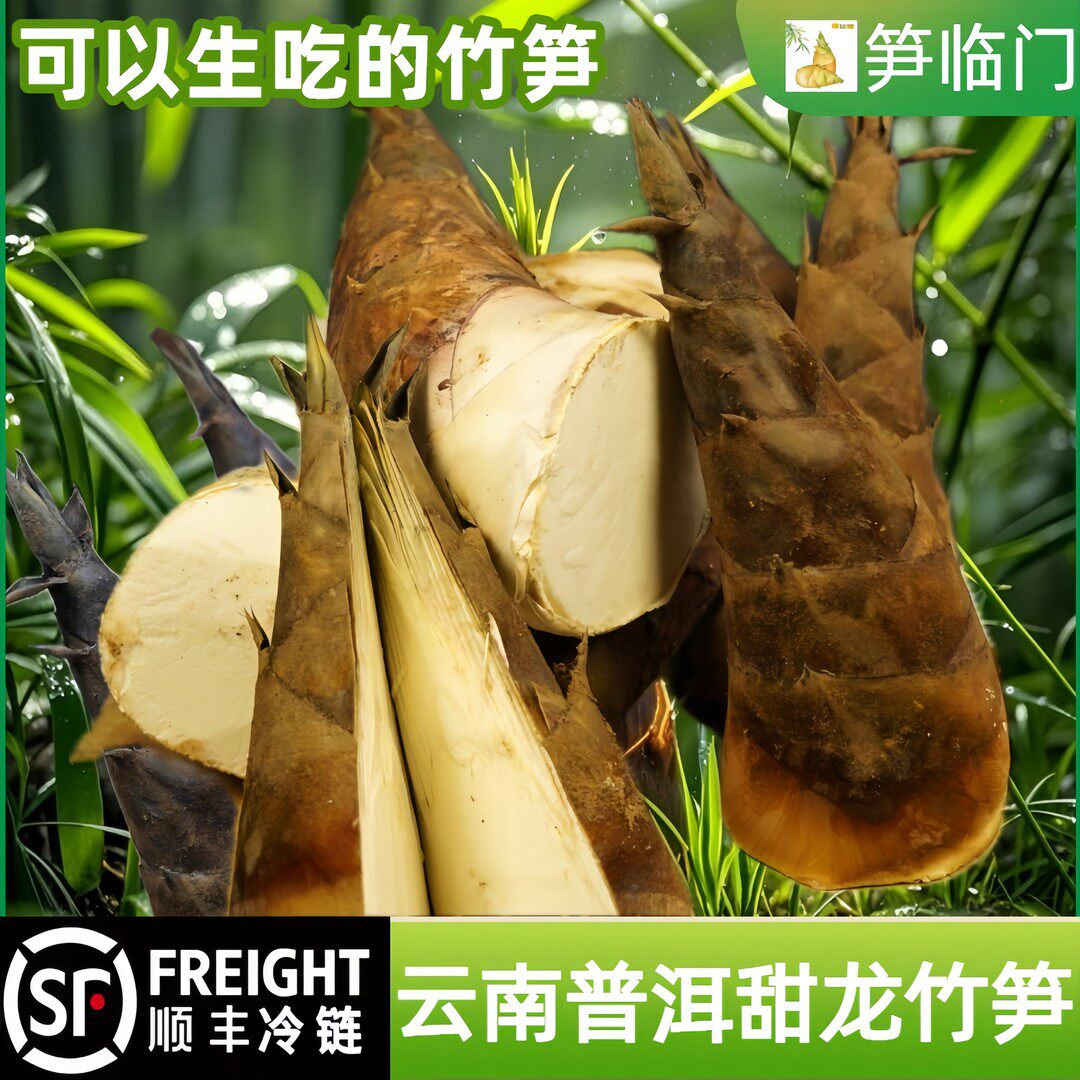 【顺丰冷链】云南思茅甜笋水果笋产地直发甜笋刺身笋