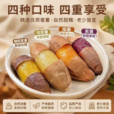 四色蜜薯丨四大薯王紫薯烟薯哈蜜薯榴莲蜜薯红薯地瓜番薯4.5斤