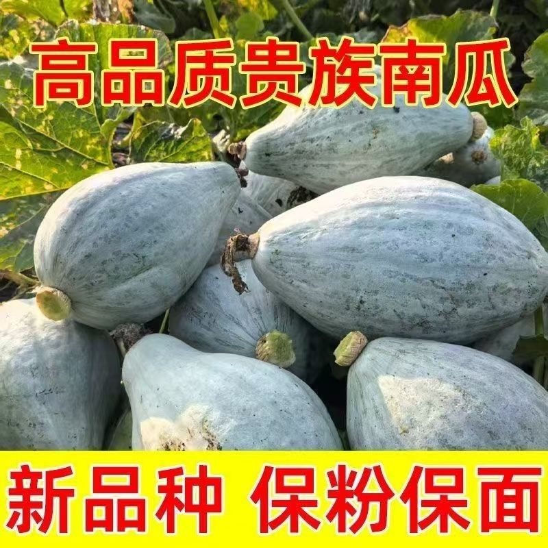 新疆贵族南瓜正品甜面粉糯沙漠银板栗老南瓜宝宝辅食贝贝南瓜