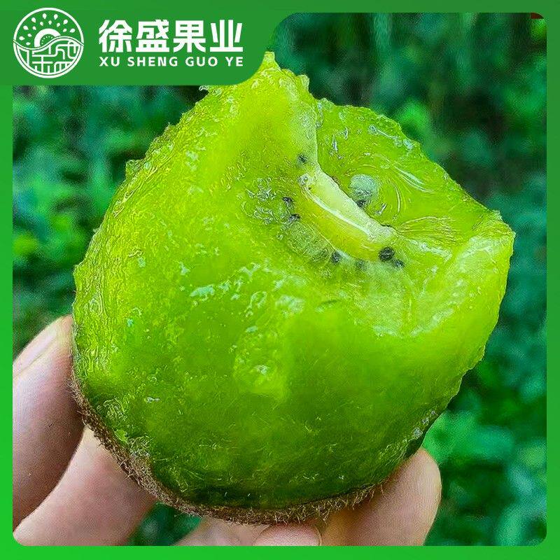 徐盛果业陕西眉县徐香猕猴桃当季新鲜水果软糯香甜多汁原产地优选