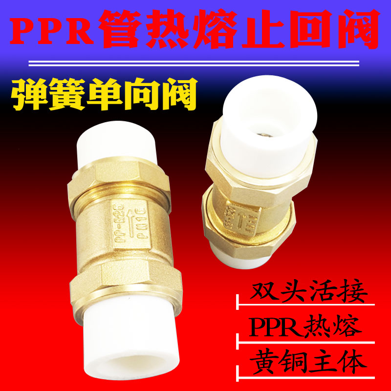 PPR管热熔双活接弹簧立式止回阀铜单向阀止逆阀ppr20水管平装2532