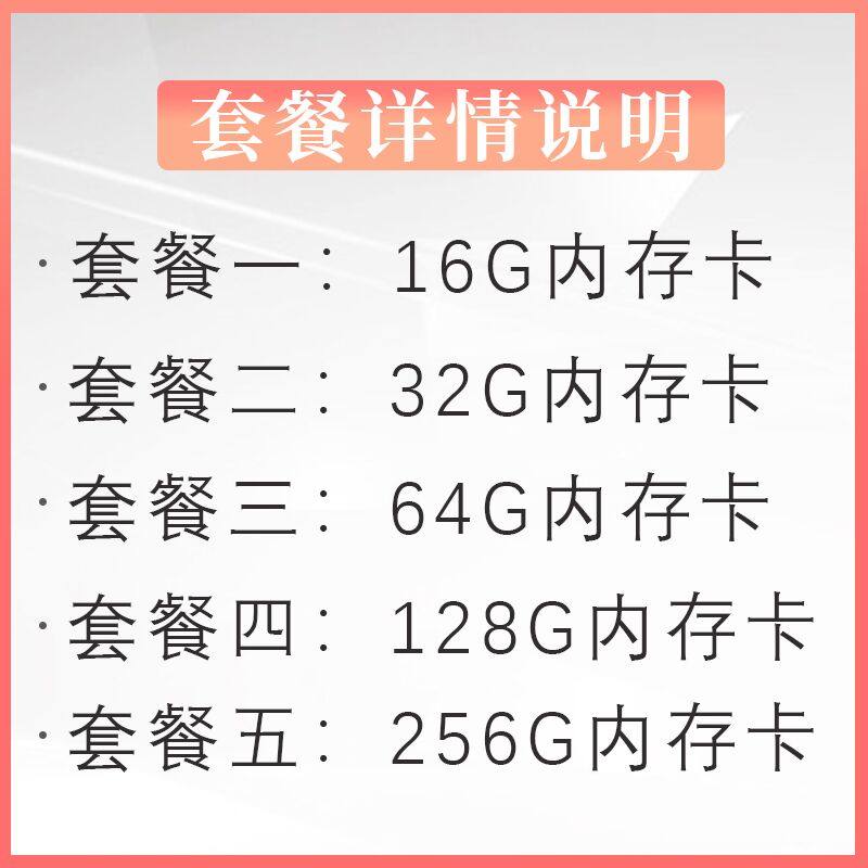 海康威视内存卡TF存储卡监控行车记录仪16G 32 64  128  256