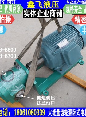 WBZ-DCB-TXLB-XTCB-B600 CB-B700JZ大流量齿轮油泵电机组卧式装置