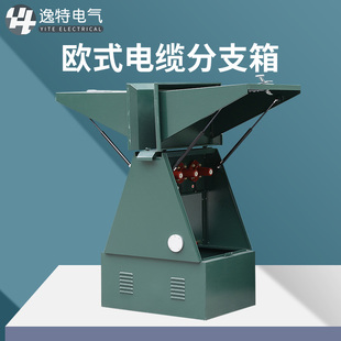 630A一进一二三四出欧式 高低压分接箱 逸特10KV电缆分支箱DFW