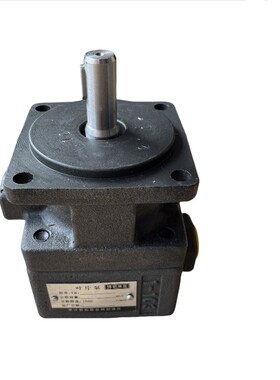 YBD-6 10 12 16 20 25 32 40 50 63 80 100 仙居 BCHM 定量叶片泵