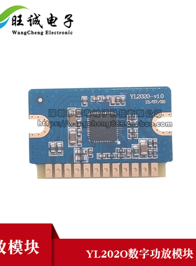 YL2020新款20W+20W D类数字功放板12V-24V 音效好迷你功放模块