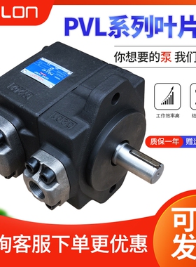 液压油泵高压叶片定量PV2R1鞋机橡胶注塑PVL1/L2-10/17/25/33/41