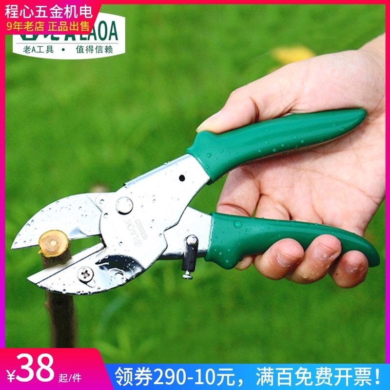 老A 修枝剪刀 鲜树枝剪园林花枝剪 整枝剪刀 园艺剪 花艺枝采果树
