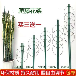 文竹支撑架爬藤架子月季 花架室内花卉植物支撑杆绿萝铁线莲攀