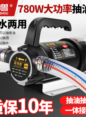 油水两用电动抽油泵12V220V24V伏直流高压水泵柴油泵加油机抽油器