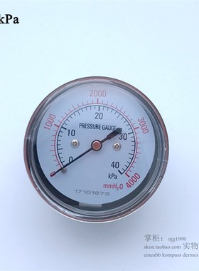 YE60Z轴向膜盒压力表0-40kPa微压表天然气千帕表2分背接头