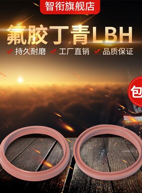 液压防尘圈LBH40/45/48/50/53/55/56/60/63/65/67氟胶气缸防尘圈