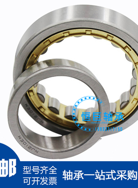 日本进口NSK轴承 N NU NJ RN NUP 2204 2205 2206 2207 EW EM C3