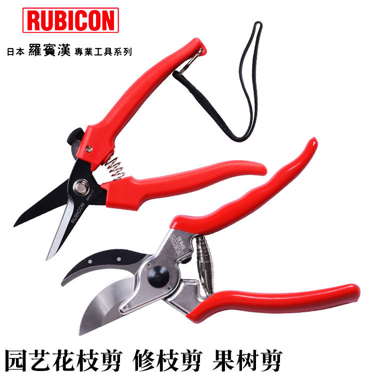 日本罗宾汉园艺花枝剪树枝剪子花卉园林修枝剪刀采摘果子果树剪刀