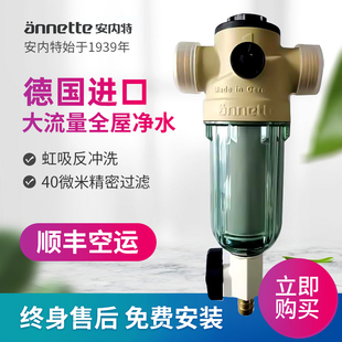 伟星德国进口安内特前置过滤器反冲洗家用自来水全屋净水器滤水器