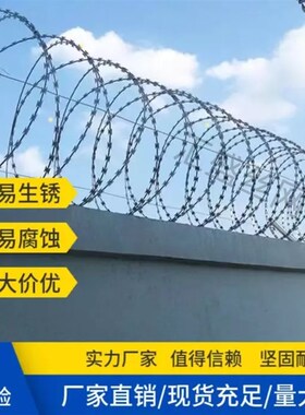 广东不锈钢防爬刀片刺绳围墙防盗刺丝滚笼镀锌监狱隔离围栏铁刺网