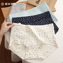 草本初色内裤 头 女士纯棉7a级抗菌中高腰收腹全棉无痕少女平角短裤