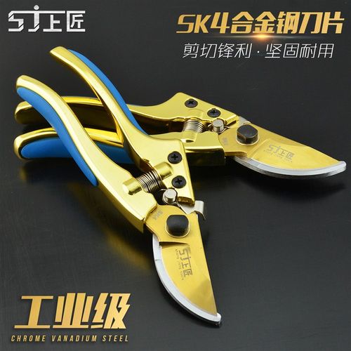 上匠园艺剪 树枝剪 花枝剪刀 修剪果树剪子 粗枝剪果修枝剪园林剪