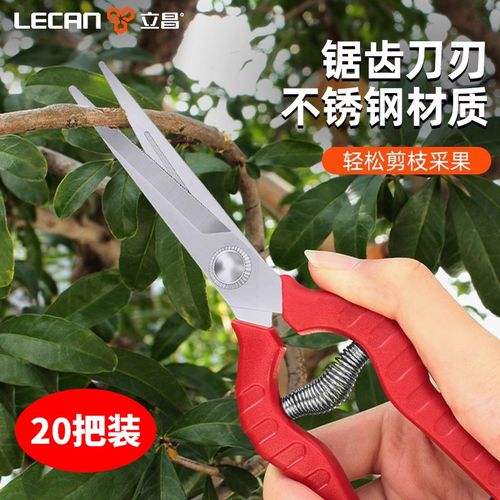 园艺剪刀修枝剪修剪树枝果树花剪专用剪刀采摘花椒葡萄专用神器